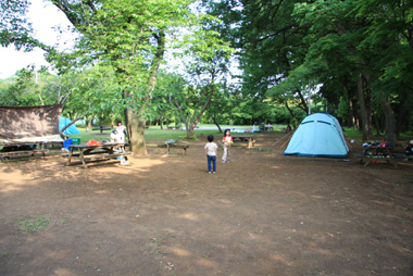 さぎ山記念公園 さいたま市緑区 野外活動センター 公園へ行こう