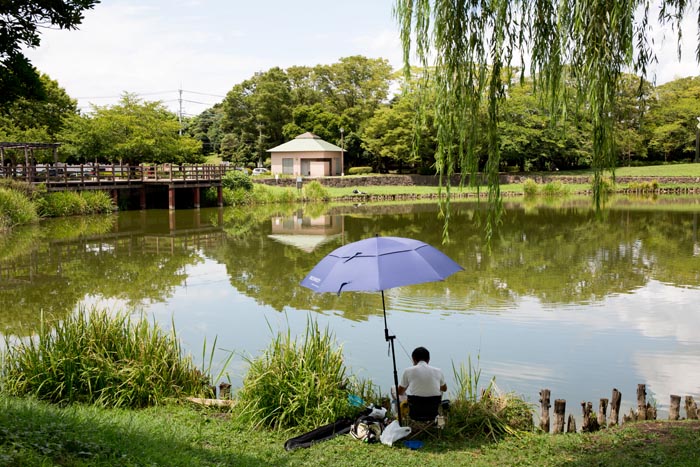 西城沼公園 蓮田市 釣り場 西城沼 公園へ行こう