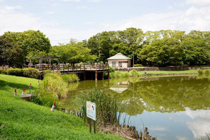 西城沼公園 蓮田市 釣り場 西城沼 公園へ行こう