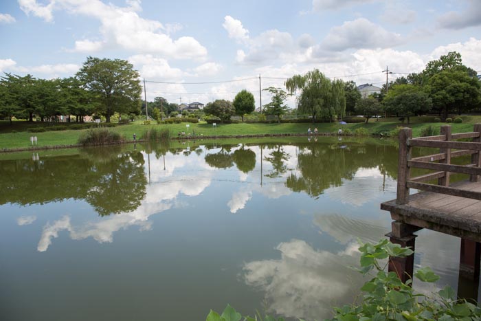 西城沼公園 蓮田市 釣り場 西城沼 公園へ行こう