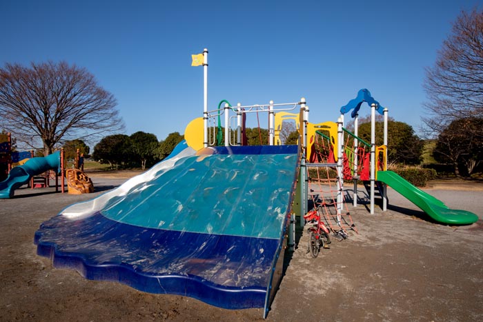 彩湖・道満グリーンパーク　遊戯広場（遊具の広場）に2018年春新装オープンした新中型複合遊具