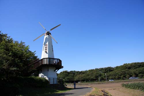 さいたま市　市民の森　見晴公園の風車