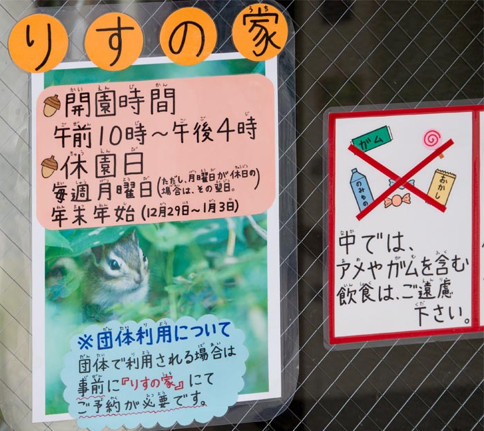 市民の森 さいたま市北区 りすの家 公園へ行こう