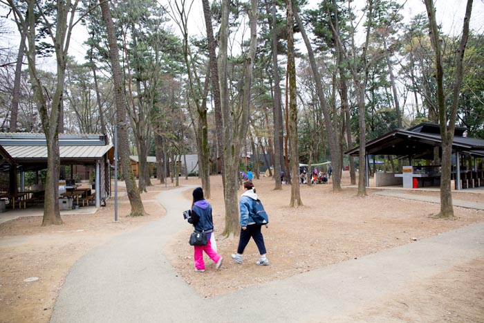 清水公園 キャンプ場