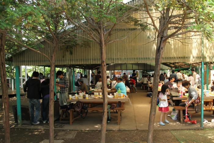 キャンプ 清水 場 公園