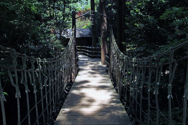 清水公園 バンガロー