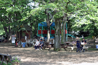 清水公園 ポニー牧場 広場