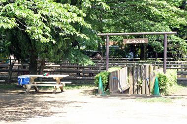 清水公園 ポニー牧場 ポニートンネル