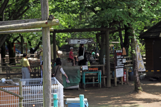 清水公園 ポニー牧場 乗馬コーナー