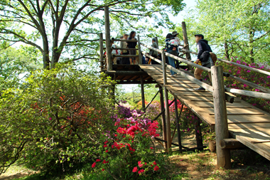 清水公園 つつじ園の怖い展望台