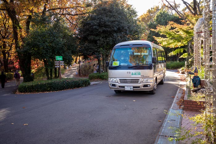 国営武蔵丘陵森林公園　園内バス　小さい方の25人乗り