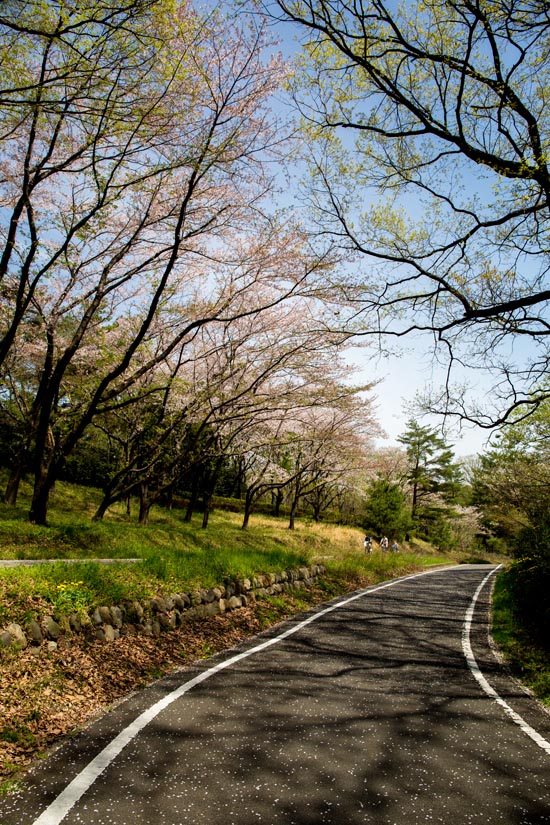 国営武蔵丘陵森林公園　サイクリングコース