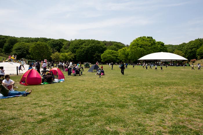 国営武蔵丘陵森林公園 ぽんぽこマウンテン
