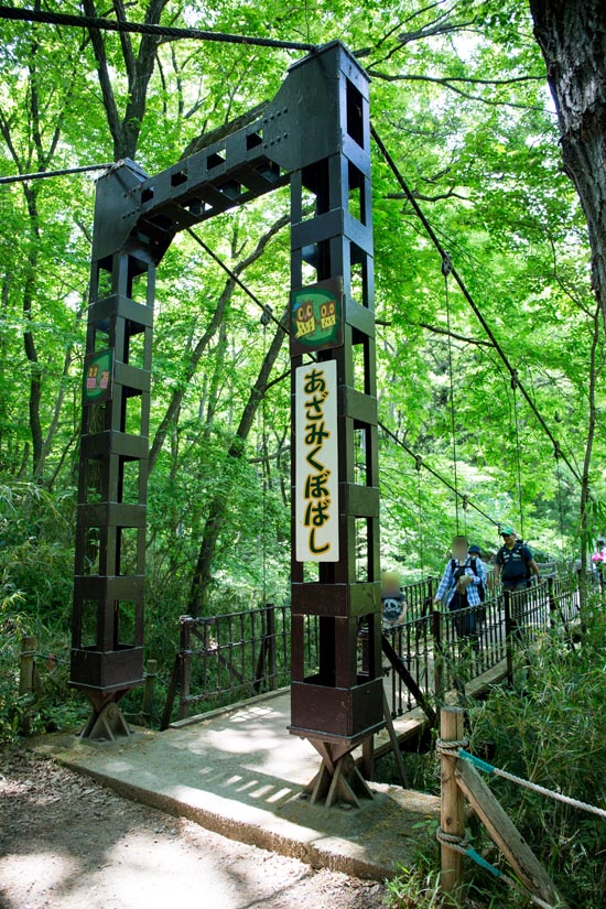 国営武蔵丘陵森林公園　あざみくぼばし（吊り橋）