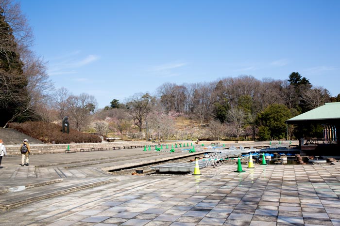 武蔵丘陵森林公園 梅林