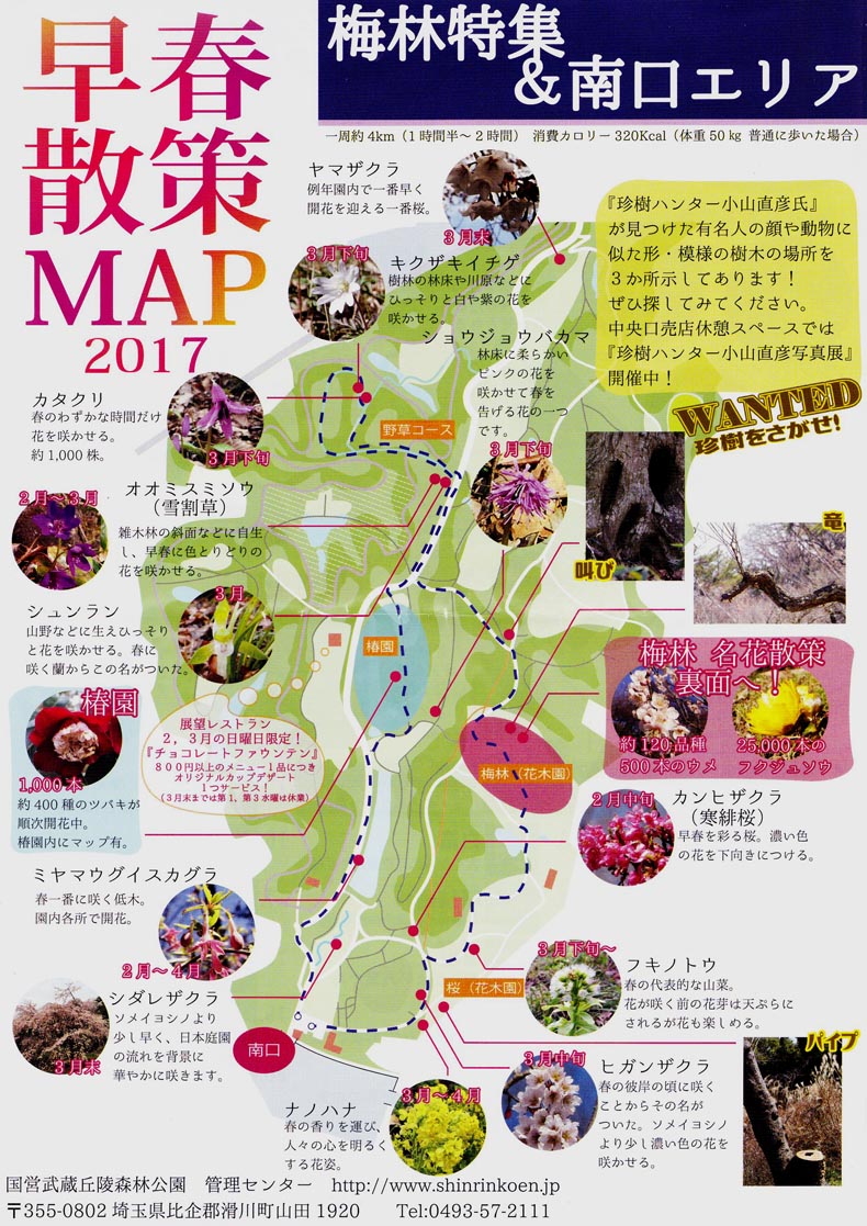 武蔵丘陵森林公園　梅林　散策マップ