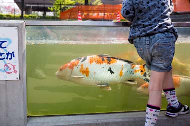 さいたま水族館 羽生市 公園へ行こう