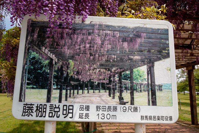 XǏ@WyXǏ@130[g̓I@J̓̉