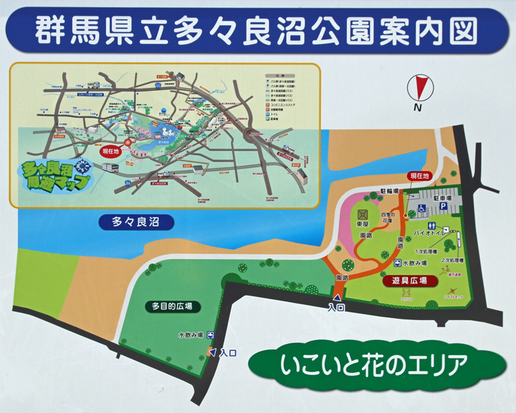 群馬県立多々良沼公園 いこいと花のエリア 案内図