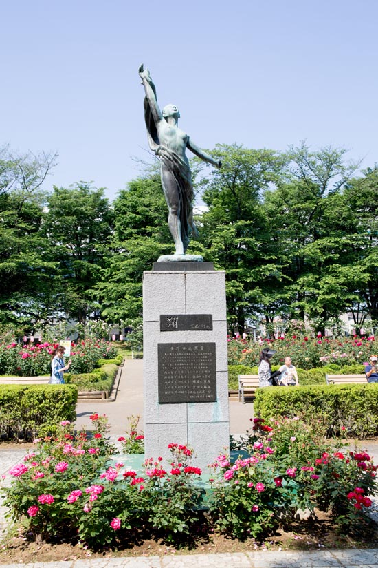 与野公園 バラ園 2017年